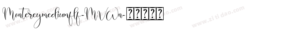 Montereymediumflf-MVWn字体转换