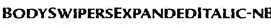 BodySwipersExpandedItalic-nBLR字体转换 BodySwipersExpandedItalic-nBLR字体转换