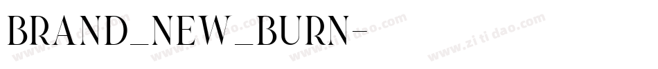 brand_new_burn字体转换