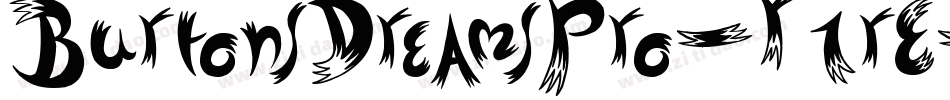 BurtonsDreamsPro-R1rE字体转换