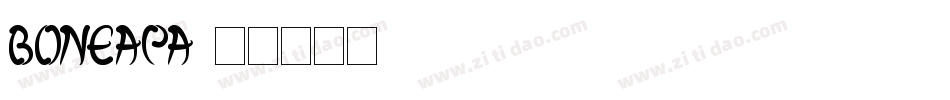 BONEAPA字体转换