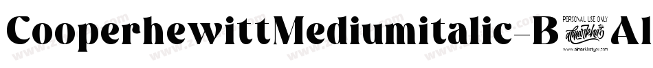 CooperhewittMediumitalic-B6Al字体转换
