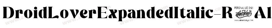 DroidLoverExpandedItalic-R6Al字体转换