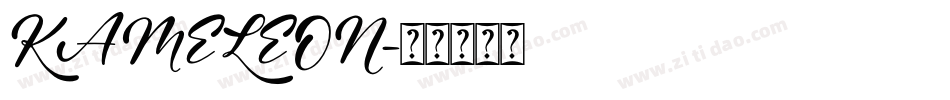 KAMELEON字体转换