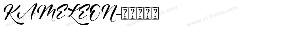 KAMELEON字体转换