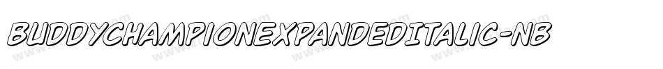 BuddyChampionExpandedItalic-nBPg字体转换