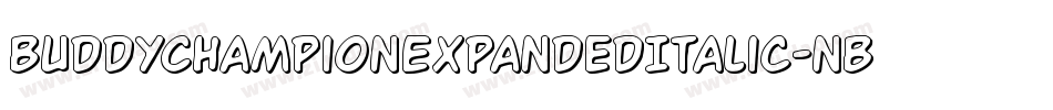 BuddyChampionExpandedItalic-nBPg字体转换