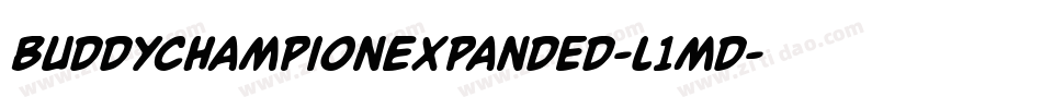 BuddyChampionExpanded-l1md字体转换