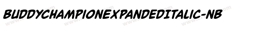 BuddyChampionExpandedItalic-nBPg字体转换