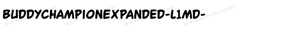 BuddyChampionExpanded-l1md字体转换