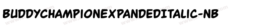 BuddyChampionExpandedItalic-nBPg字体转换