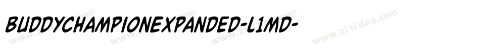 BuddyChampionExpanded-l1md字体转换