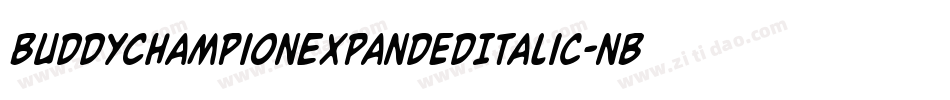BuddyChampionExpandedItalic-nBPg字体转换
