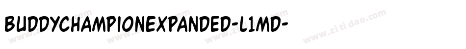 BuddyChampionExpanded-l1md字体转换
