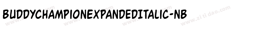 BuddyChampionExpandedItalic-nBPg字体转换