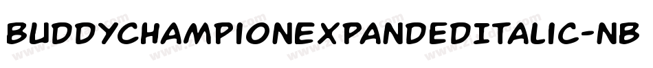 BuddyChampionExpandedItalic-nBPg字体转换