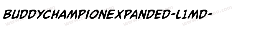 BuddyChampionExpanded-l1md字体转换