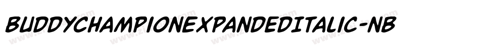BuddyChampionExpandedItalic-nBPg字体转换