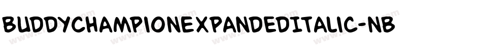 BuddyChampionExpandedItalic-nBPg字体转换
