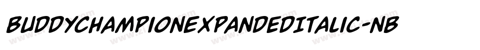 BuddyChampionExpandedItalic-nBPg字体转换