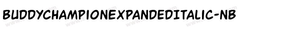 BuddyChampionExpandedItalic-nBPg字体转换