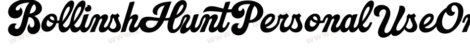BollinshHuntPersonalUseOnly-1GP9Z字体转换