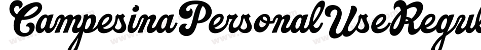CampesinaPersonalUseRegular-w13Pw字体转换 CampesinaPersonalUseRegular-w13Pw字体转换