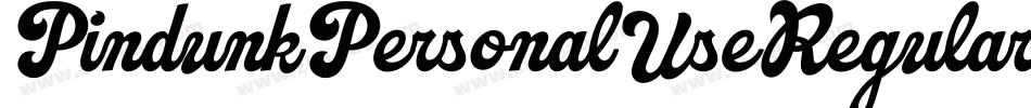 PindunkPersonalUseRegular-mv69字体转换 PindunkPersonalUseRegular-mv69字体转换