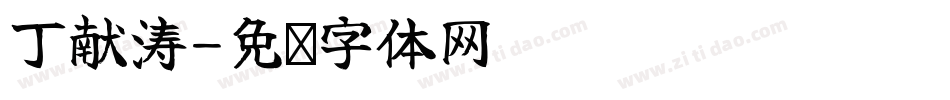 丁献涛字体转换