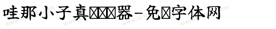 哇那小子真帅转换器字体转换