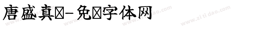 唐盛真书字体转换
