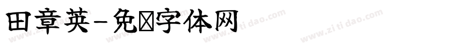 田章英字体转换