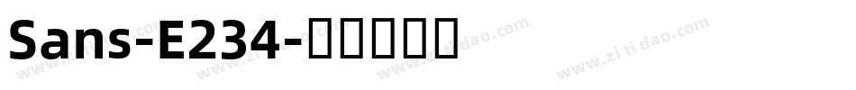 Sans-E234字体转换