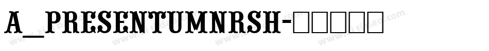 a_PresentumNrSh字体转换