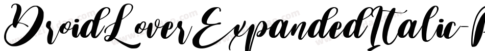 DroidLoverExpandedItalic-R6Al字体转换