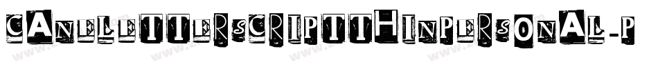 Caneletterscriptthinpersonal-pDzR字体转换