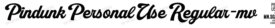 PindunkPersonalUseRegular-mv69字体转换 PindunkPersonalUseRegular-mv69字体转换