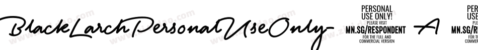 BlackLarchPersonalUseOnly-9A42字体转换