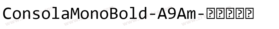 ConsolaMonoBold-A9Am字体转换