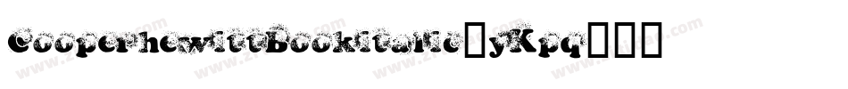 CooperhewittBookitalic-yKpq字体转换