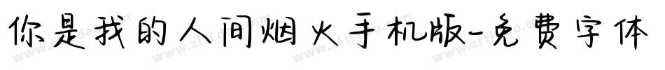 你是我的人间烟火手机版字体转换