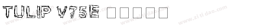 Tulip-v75E字体转换