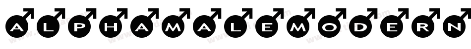 AlphaMaleModern字体转换
