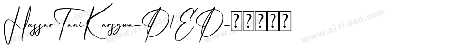 HussarTaniKursywa-D1ED字体转换