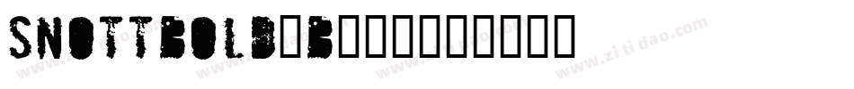SnottBold-B055字体转换