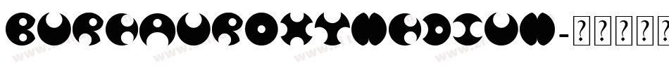 BureauRoxyMedium字体转换