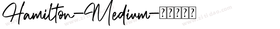Hamilton-Medium字体转换