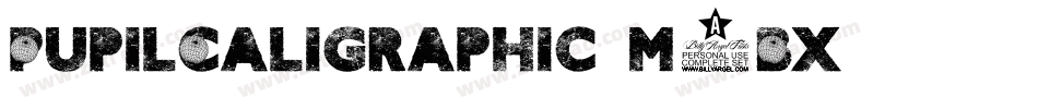 PupilCaligraphic-m5Bx字体转换