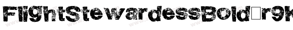 FlightStewardessBold-r9KK字体转换