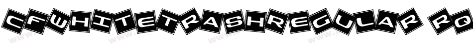 CfWhiteTrashRegular-rqoO字体转换